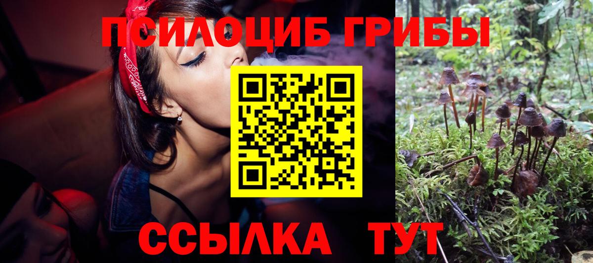Галлюциногенные грибы Cubensis  Вход с VPN  Заволжье  Псилоцибиновые грибы Psilocybe 